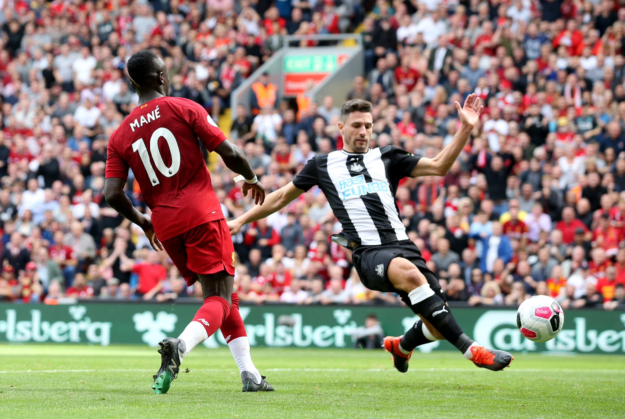 球商极高 球商极高